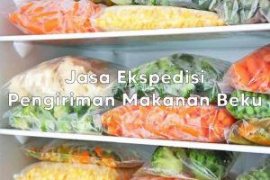 Jasa Ekspedisi Pengiriman Frozen Food