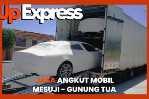 Jasa Angkut Mobil Dari Kabupaten Mesuji Ke Gunung Tua Terhemat