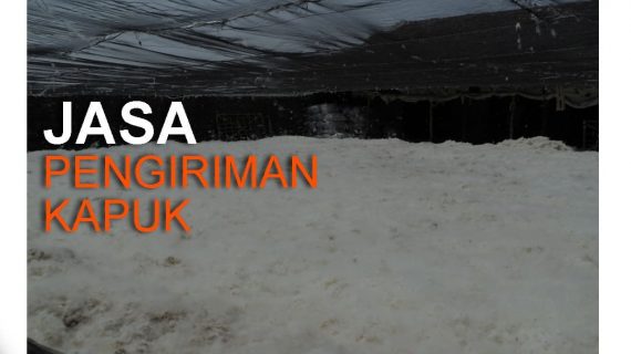 Jasa Pengiriman Kapuk Tercepat Di Medan