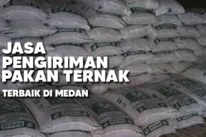 Jasa Pengiriman Pakan Ternak Terbaik Di Medan