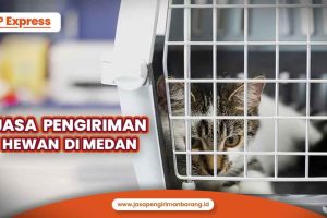 Jasa Pengiriman Hewan Di Medan