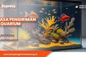 Jasa Pengiriman Aquarium Aman dan Terpercaya
