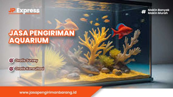 Jasa Pengiriman Aquarium Aman dan Terpercaya